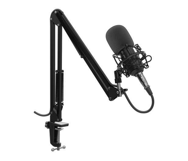 GENESIS RADIUM 300 STUDYJNY XLR RAMIĘ POPFILTR - 1077318 - zdjęcie 2